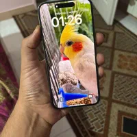 ایفون ۱۵ پرومکس