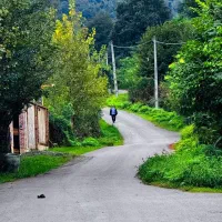250مترویلا مدرن نوساز  کوهپایه جنگلی