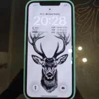 ایفون 12 پرو مکس استثنایی