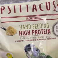 طوطی خورشیدی سان کانور ۶ ماهه پشت زرد|پرنده|اهواز, زیتون کارمندی|دیوار