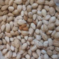 فروش بادام محب، سفید، پوست کاغذی