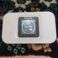 نتربیت