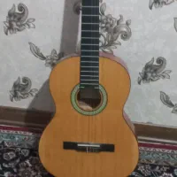 گیتار برند سالوادور