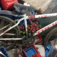 دوچرخه 26 شهری نو