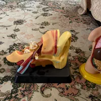 مولاژ بدنه انسان|اسباببازی|سنندج, |دیوار