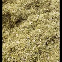 کاه لوبیا یک تن خوردی موجوده