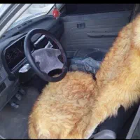 پراید مدل ۸۶ بی رنگ|خودرو سواری و وانت|باهوکلات, |دیوار