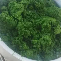 سبزی خورشتی و آشی با رعایت نکات های بهداشتی