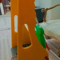 تاپ کودک|اسباب و اثاث بچه|تهران, منیریه|دیوار