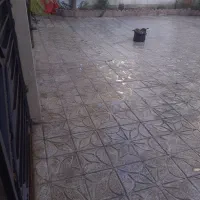 نظافت ساختمان