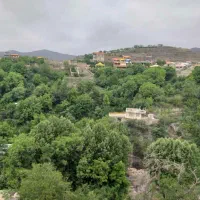 سوئیت تراس دار با موقعیت جنگلی