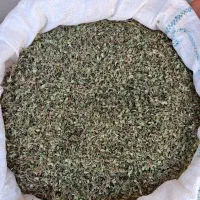 ختمی بابونه میوه نسترن گزنه بومادران چای کوهی
