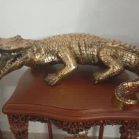 تمساح پولی استر