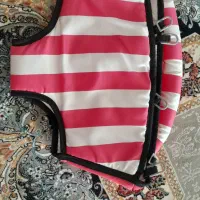 زین روروئک نو