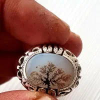 انگشتر شجرتک درخت