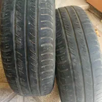 لاستیک سمند جفت