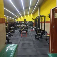 فروش دستگاهای بدنسازی و هوازی با کمترین قیمت