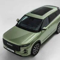 لوکانو سبز زیتونی