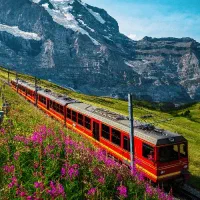 رزرو بلیط قطار در مسیرهای پرتردد کشور