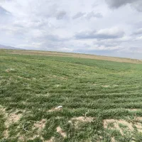 زمین گازیر مسیر پله معلق سنددار معاوضه