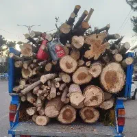 خریدار چوب