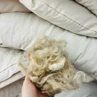 فروش پشم گوسفندی