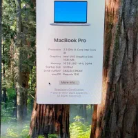 macbook pro 2019 / مک بوک پرو ۲۰۱۹|رایانه همراه|مشهد, هفت تیر (حافظ)|دیوار