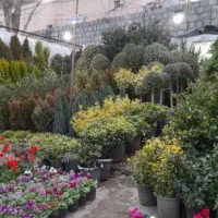 خدمات باغبانی کاشت گل وگیاه باغچه کاری هرس گل کاری