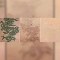 لیزر مو زائد/لیزر تتو/پاک کردن تتو/روشن سازی پوست|خدمات آرایشگری و زیبایی|اصفهان, خلجا|دیوار