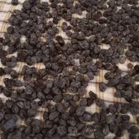 مویز لعل درجه یک ،مخصوص شب یلدا|خوردنی و آشامیدنی|شاهرود, |دیوار