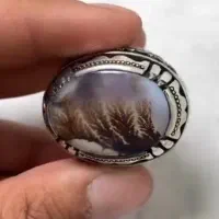 انگشتر شجر سنگین|جواهرات|رشت, یخسازی|دیوار