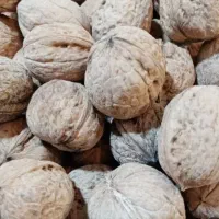گردو.کیلویی ۲۷۰