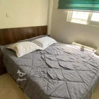 اجاره کوتاه مدت اپارتمان با شرایط توپ فول امکانات|اجارهٔ کوتاهمدت آپارتمان و سوئیت|تهران, شمشیری|دیوار