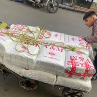 شورت مردانه COOLSE|لباس|تهران, اتابک|دیوار