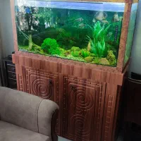آکواریوم همراه کلبه وماهی ومطعلقات|ماهی|ضیاء آباد, |دیوار