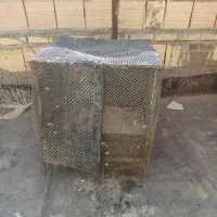 قفس مرغ و جوجه