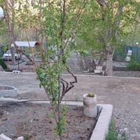اجاره کوتاه مدت خونه باغ