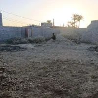 زمین فروشی چهار دیواری با موقعیت عالی|فروش زمین و ملک کلنگی|ایرانشهر, |دیوار