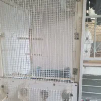 قفس پرنده وکبوتر|لوازم جانبی حیوانات|فردیس, شهرک وحدت|دیوار