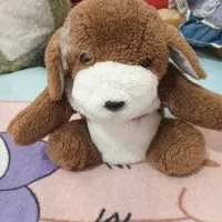 عروسک|اسباب‌بازی بچه|زاهدان, |دیوار