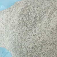 برنج طارم کشت دوم