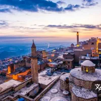 تور وان ویژه بلک فرایدی|تور و چارتر|اندیشه, شهرک المهدی|دیوار