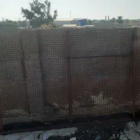 فروشی|لوازم جانبی حیوانات|سوسنگرد, |دیوار