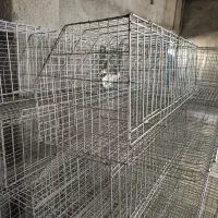 قفس بلدرچین