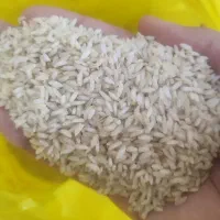 برنج و نیم دانه  عنبربو درجه یک شوشتر