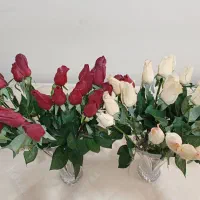 گل و گلدان|گل مصنوعی|رباطکریم, رباطکریم|دیوار