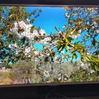 تلویزیون رسیوردار الجی اصل کره سایز42