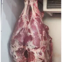 شریک و سرمایه گذارفروش گوشت  افتتاح قصابی های برند