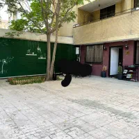 آپارتمان مسکونی و دفتر کار 75 متر با 100متر حیاط