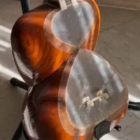 تار حرفه ای سالم